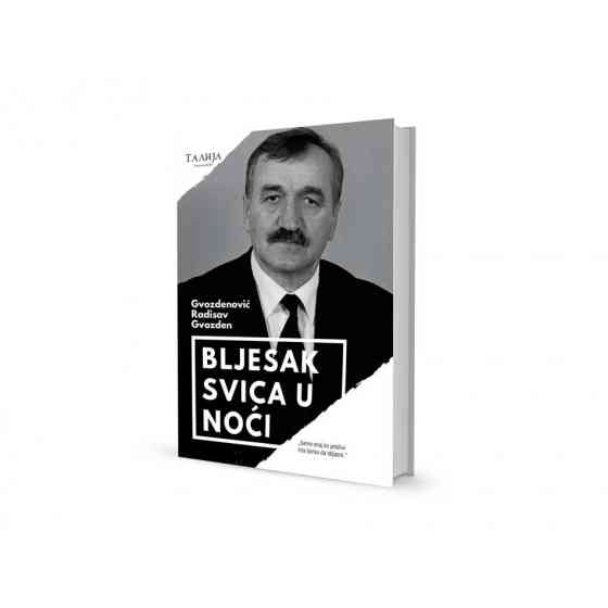 Радисав Гвозденовић - Бљесак свица у ноћи